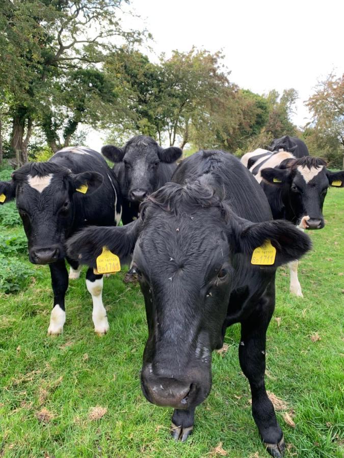 Church Farm, Legbourne Louth Buitenkant foto